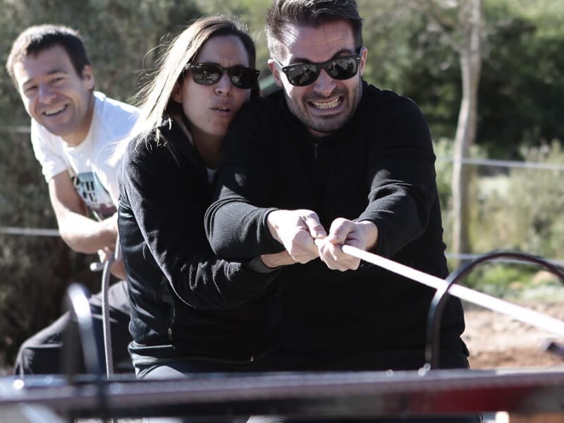 Soga 4 · Humor amarillo Valencia